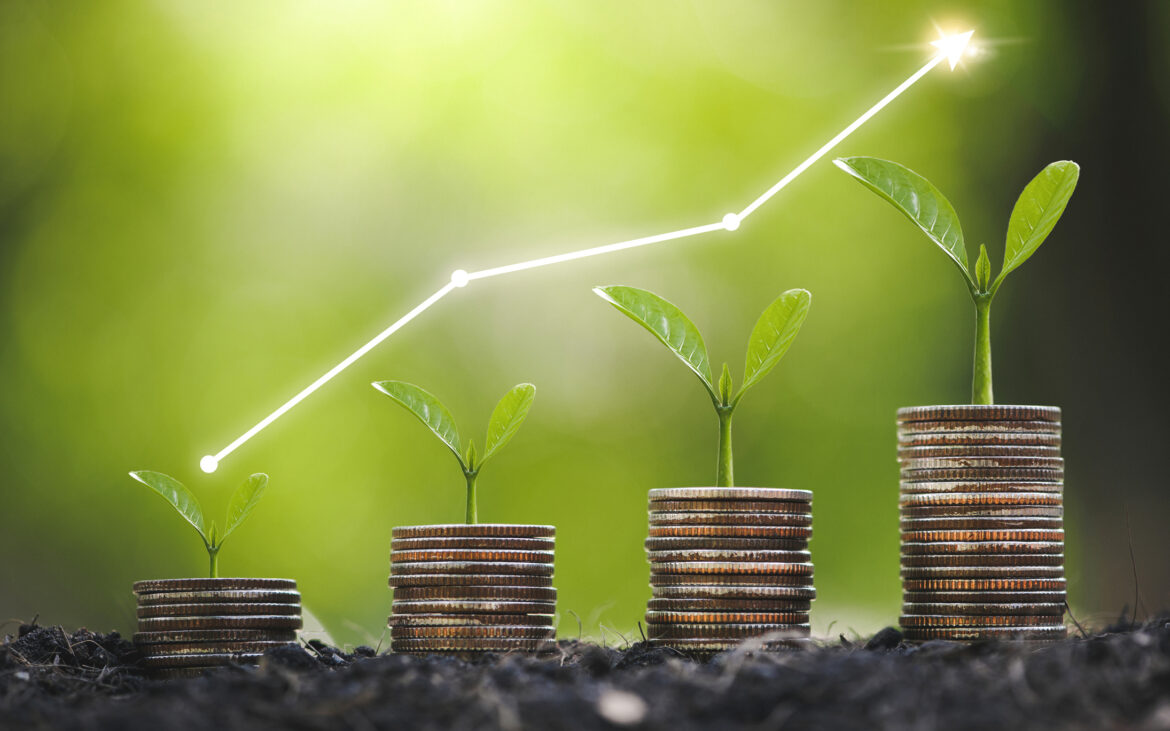 stack-of-coins-growing.jpg