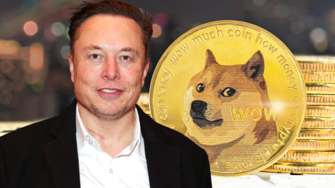 Elon-Musk-Dogecoin-lawsuit.jpeg
