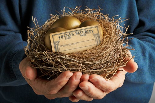 Nest With Golden Eggs And Social Security Card