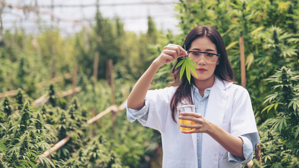 doctor-working-inside-cannabis-cultivation-facility.jpg