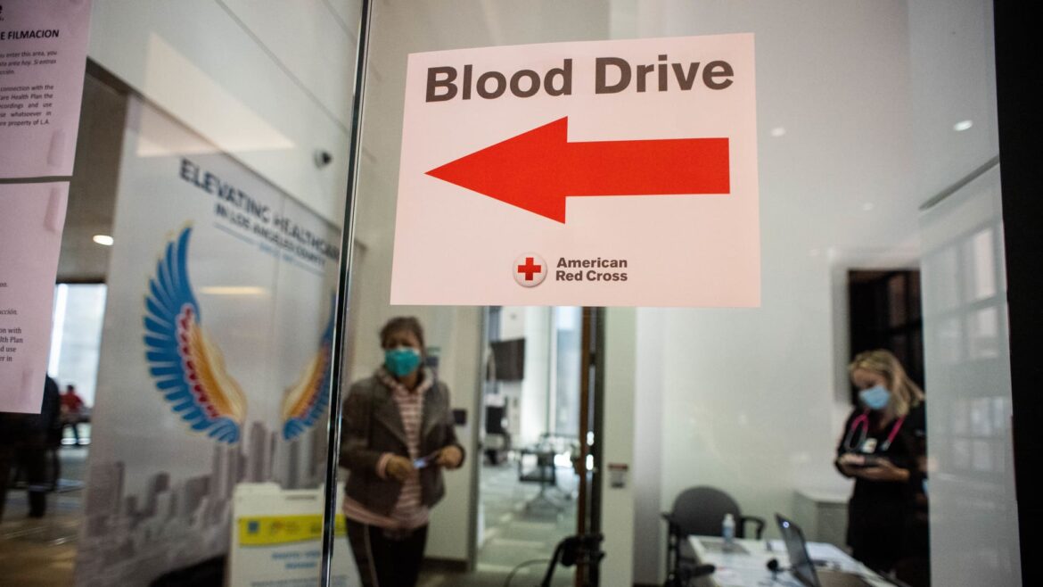 107335816-1700241575021-gettyimages-1308846825-ldn-l-redcross-0324-03-sr.jpeg