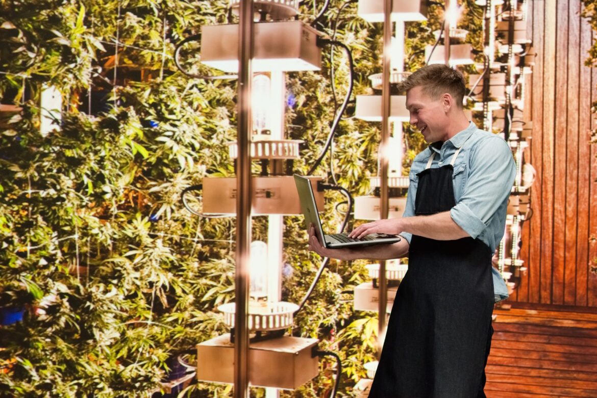 cannabis-worker-entering-in-data-in-a-computer.jpg