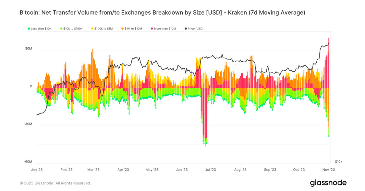 insights-kraken.jpg