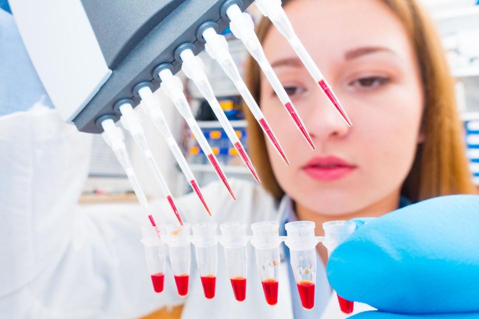 A biotech lab technician using a multi-pipette device to place red liquid into a row of test tubes.