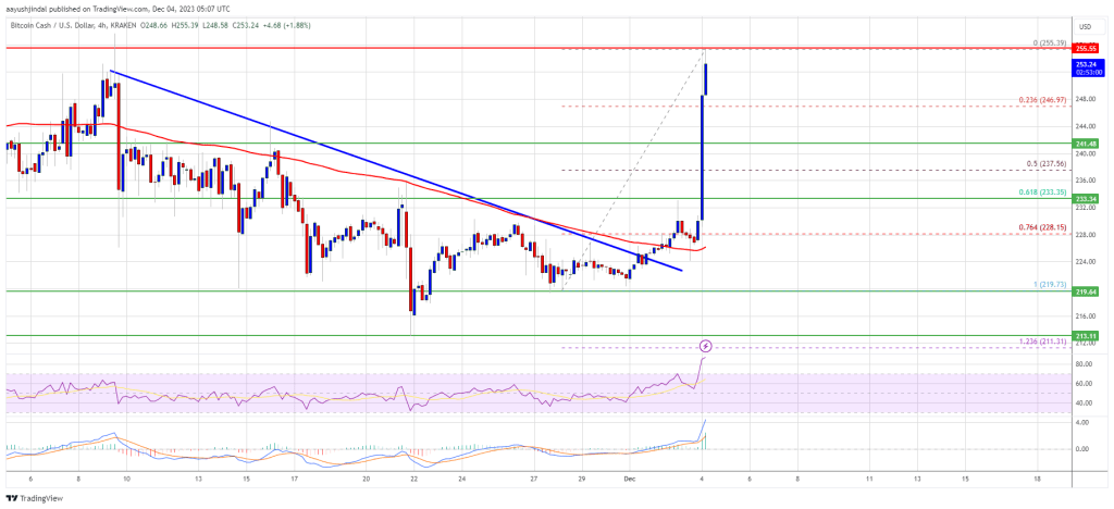 Bitcoin Cash Price