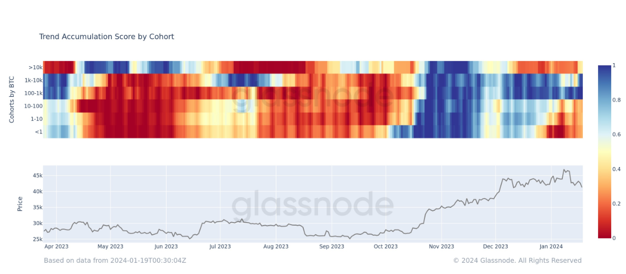 Accumulation Trend Score by cohort: (Source: Glassnode)