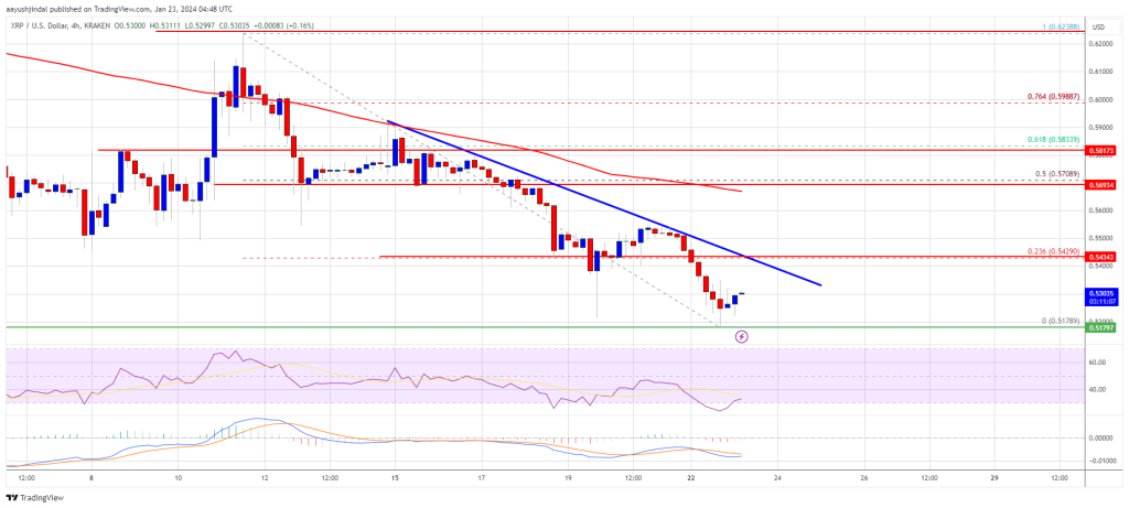 XRP Price 