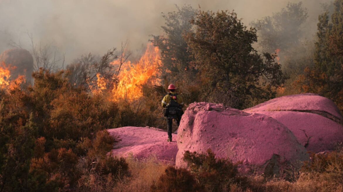 107370642-1707378062303-gettyimages-1534868909-AFP_33P84JX.jpeg