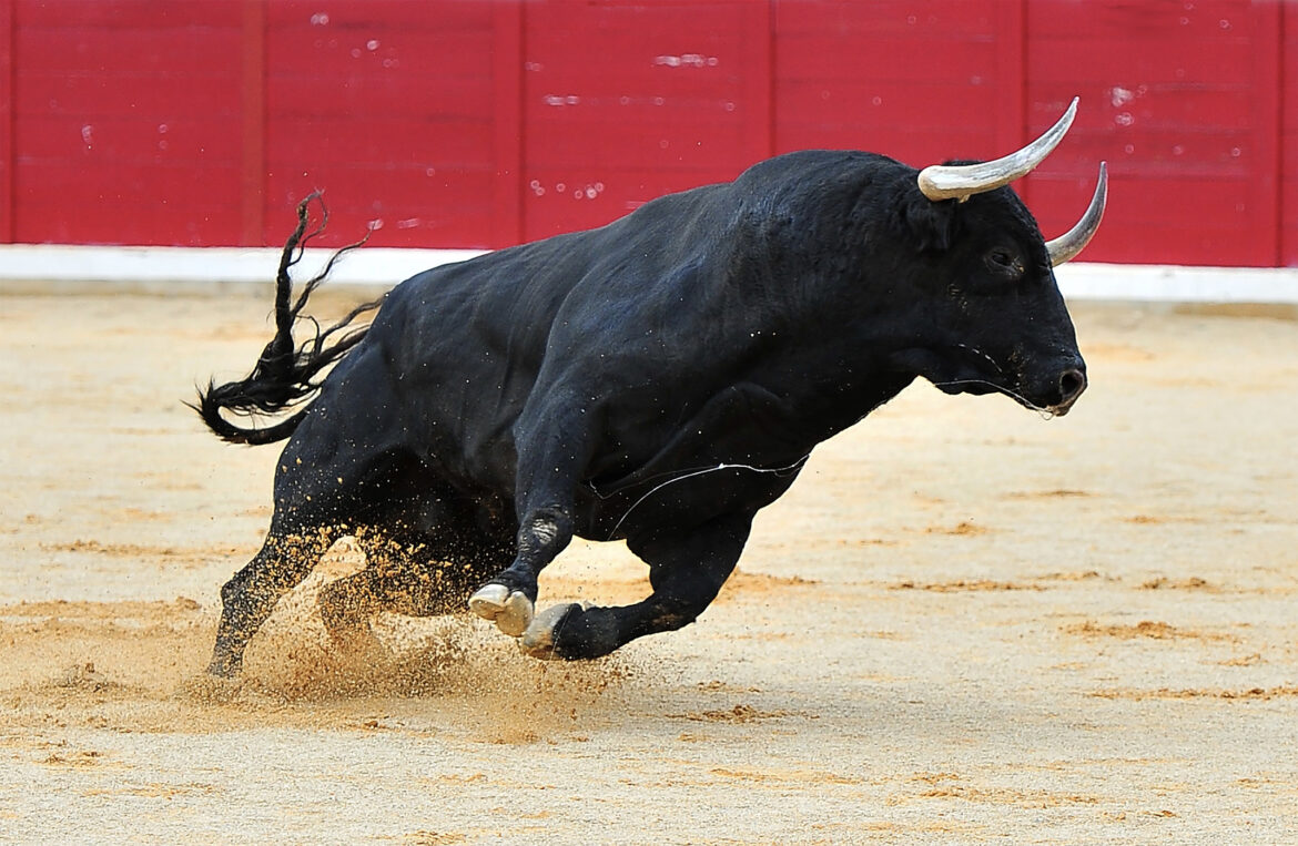 iStock-1369021012.jpg