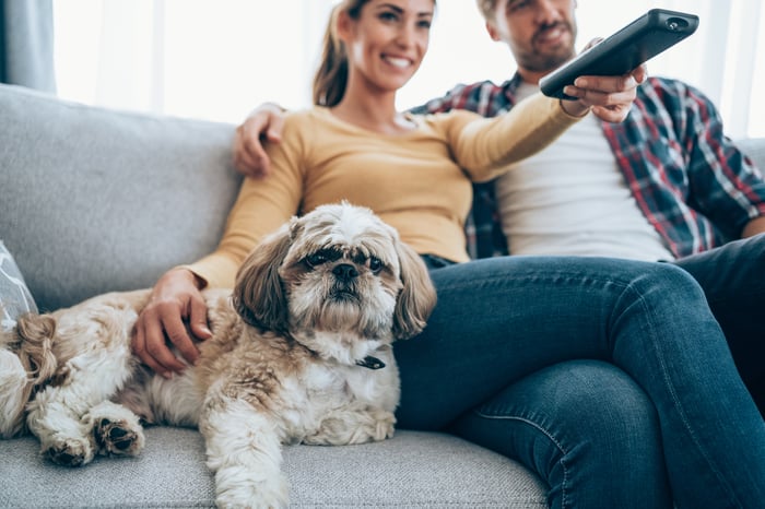 Two dog owners and their pet on a living roof sofa.