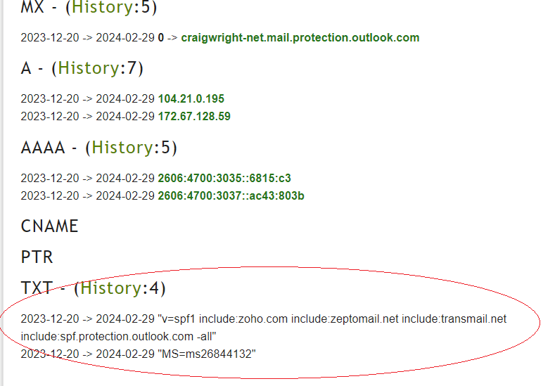 Craig Wright DNS records (Source: Bitmex Research)