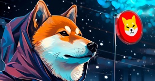 Shiba-Inu-Small-1.jpeg