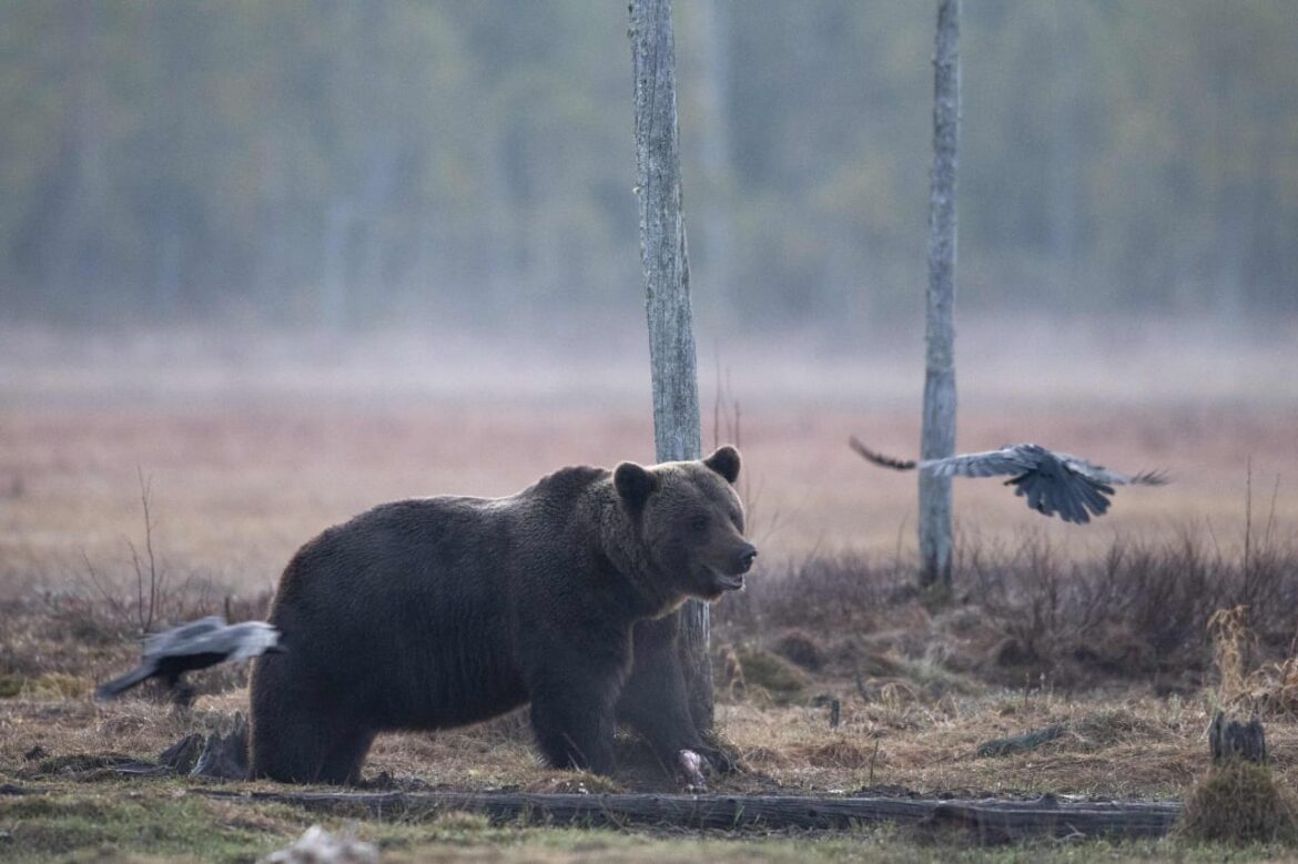 These-in-the-know-investors-are-more-bearish-than-theyve-been-since.jpeg